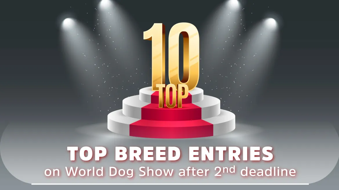 Top 10 breeds