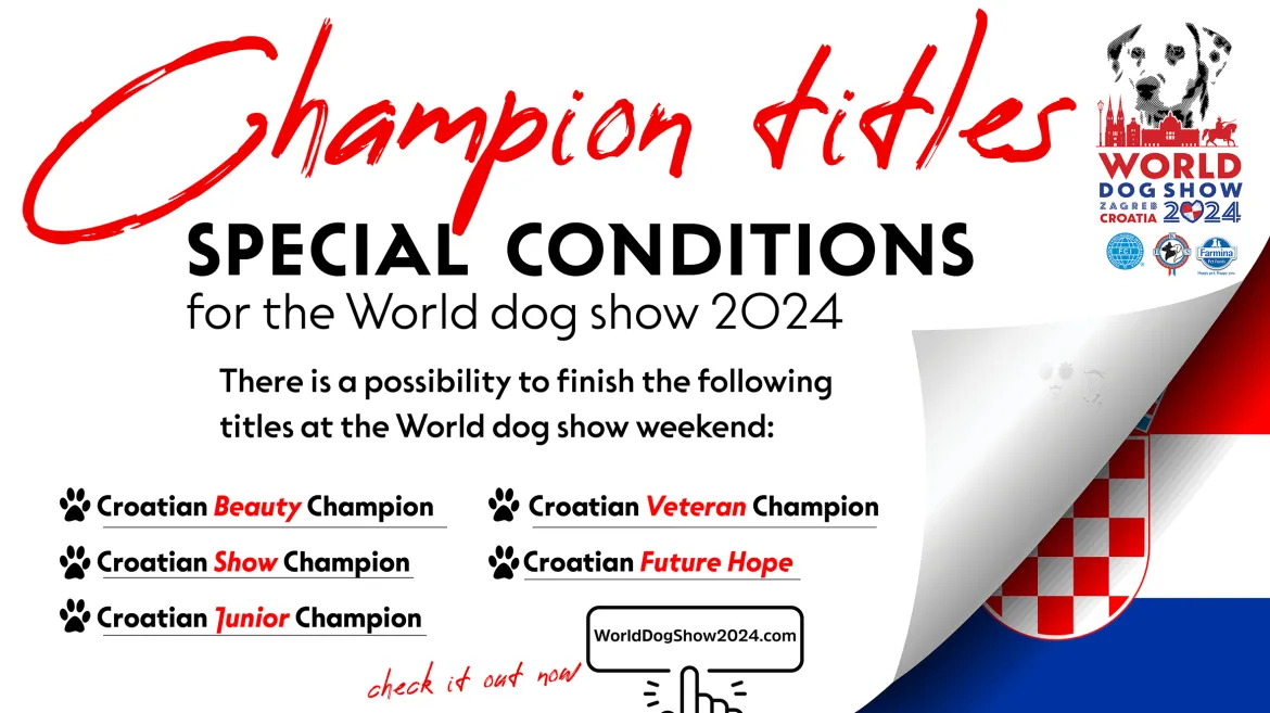 Champion titles - special conditions